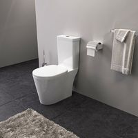 Унитаз компакт Iddis Calipso CAL2DSEi24 с бачком и сиденьем Микролифт — фото 4, Напольные унитазы