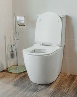 Товар: Унитаз компакт Creto Logan L1 1001-004-WF без бачка и с сиденьем Микролифт - фото 6 Унитаз компакт Creto Logan L1 1001-004-WF без бачка и с сиденьем Микролифт — фото 6, Унитазы