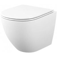 Унитаз Maretti Elena EA10PBM06-844 подвесной с сиденьем Микролифт — фото 1, Подвесные унитазы