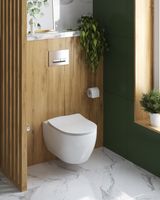 Товар: Унитаз подвесной безободковый с функцией биде CEZARES COMFORT CZR-191-TH/BS/CZR-2316-SC - фото 10 Унитаз подвесной безободковый с функцией биде CEZARES COMFORT CZR-191-TH/BS/CZR-2316-SC — фото 10, Подвесные унитазы