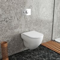 Унитаз Owl 1975 WaveCirkel-H TOWLT190801 подвесной с сиденьем Микролифт — фото 6, Подвесные унитазы