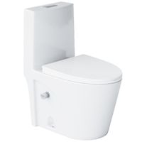 Унитаз моноблок Laguraty 2100AWC с бидеткой с бачком и сиденьем Микролифт — фото 1, Напольные унитазы