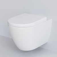 Унитаз Ambassador Queen 113T20001R-112T20001 подвесной Белый глянцевый с сиденьем Микролифт — фото 8, Подвесные унитазы