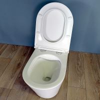 Товар: Унитаз Maretti Florenza FL10PBM97-844 подвесной с сиденьем Микролифт - фото 7 Унитаз Maretti Florenza FL10PBM97-844 подвесной с сиденьем Микролифт — фото 7, Подвесные унитазы