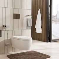 Товар: Mosel K-46627 Щетка для унитаза подвесная - фото 2 Mosel K-46627 Щетка для унитаза подвесная — фото 2, Ершики для унитаза