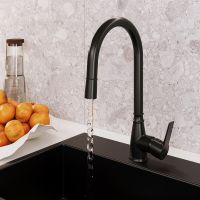 Товар: Смеситель для кухни Laparet Alamera N2040929LPT Черный - фото 3 Смеситель для кухни Laparet Alamera N2040929LPT Черный — фото 3, Смесители для кухни