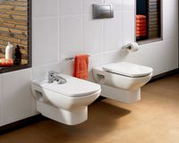 Унитаз Roca Dama Senso 346517000 подвесной без сиденья — фото 5, Подвесные унитазы