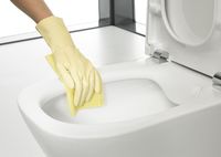 Комплект унитаза с инсталляцией Roca The Gap 893104100 с сиденьем Микролифт и клавишей смыва Хром — фото 11, Комплекты унитаз + инсталляция