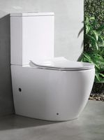 Товар: Унитаз компакт CeramaLux NS-2176 с бачком и сиденьем Микролифт - фото 3 Унитаз компакт CeramaLux NS-2176 с бачком и сиденьем Микролифт — фото 3, Напольные унитазы