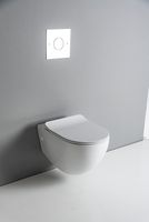 Товар: Унитаз Artceram File 2.0 FLV004 01 30 подвесной Белый - фото 3 Унитаз Artceram File 2.0 FLV004 01 30 подвесной Белый — фото 3, Унитазы