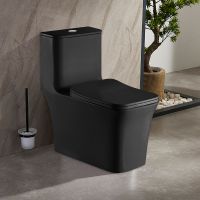 Унитаз моноблок Azario Gressa AZ-1111MB Черный матовый с бачком и сиденьем Микролифт — фото 1, Напольные унитазы