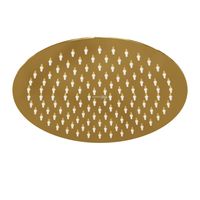 Товар: A208 Верхняя душевая насадка - фото 2 A208 Верхняя душевая насадка — фото 2, Комплектующие для туалета