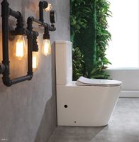 Унитаз компакт CeramaLux NS-2178 с бачком и сиденьем Микролифт — фото 4, Унитазы