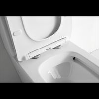 Товар: Унитаз компакт CeramaLux NS-2170 с бачком и сиденьем Микролифт - фото 4 Унитаз компакт CeramaLux NS-2170 с бачком и сиденьем Микролифт — фото 4, Унитазы