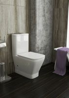 Бачок для унитаза Owl 1975 GapRuta-G OWLT200901/2 Белый — фото 2, Комплектующие для туалета