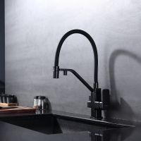 Смеситель для кухни Raglo R85.62.06 Черный матовый — фото 16, Смесители для кухни