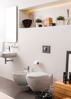 Товар: Унитаз Creavit Free FE320-11CB00E-0000 подвесной Белый без сиденья - фото 5 Унитаз Creavit Free FE320-11CB00E-0000 подвесной Белый без сиденья — фото 5, Подвесные унитазы