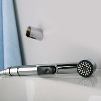 Leine 3508 Смеситель для умывальника с гигиенической лейкой — фото 3, Гигиенические души