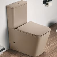 Унитаз компакт CeramaLux 2170AXMC Капучино матовый с бачком и сиденьем Микролифт — фото 1, Напольные унитазы