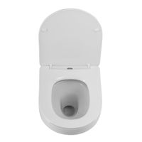 Унитаз подвесной безободковый CEZARES DUET CZR-2462-TH-TOR/CZR-870-SC — фото 6, Подвесные унитазы