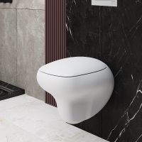 Унитаз Ambassador Diamond 123T20101R-122T20101 подвесной Белый матовый с сиденьем Микролифт — фото 4, Подвесные унитазы