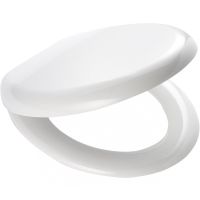 Сиденье для унитаза Ridder Toronto О2114101 Белое с Микролифтом — фото 1, Сиденья для унитаза