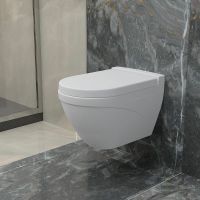 Унитаз Ambassador Nord 133T20101 подвесной Белый матовый без сиденья — фото 9, Подвесные унитазы