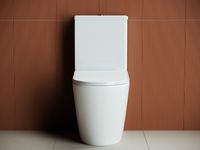 Унитаз компакт Ceramicanova Highlight Rimless CN1802-B без бачка и с сиденьем Микролифт — фото 9, Унитазы