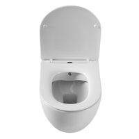 Товар: Унитаз подвесной безободковый с функцией биде CEZARES COMFORT CZR-191-TH/BS/CZR-2316-SC - фото 6 Унитаз подвесной безободковый с функцией биде CEZARES COMFORT CZR-191-TH/BS/CZR-2316-SC — фото 6, Подвесные унитазы