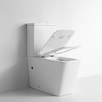 Товар: Унитаз компакт CeramaLux NS-2170 с бачком и сиденьем Микролифт - фото 2 Унитаз компакт CeramaLux NS-2170 с бачком и сиденьем Микролифт — фото 2, Унитазы