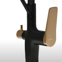 Смеситель для кухни Lemark Bronx LM3761BLR Черный Золото — фото 3, Смесители для кухни