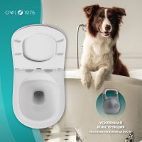 Унитаз Owl 1975 VindRuta-H TOWLT190304 подвесной с сиденьем Микролифт — фото 2, Подвесные унитазы