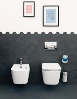 Унитаз Artceram A16 ASV003 44 00 подвесной Green salvia без сиденья — фото 2, Подвесные унитазы