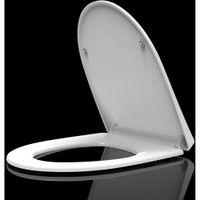 AQ0209-00 крышка-сиденье для унитаза AQ2009, белая — фото 1, Унитазы, биде и писсуары. Крышки для унитазов