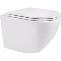 Унитаз Alcora Encanto LT-046E-R 49530 подвесной с сиденьем Микролифт — фото 1, Подвесные унитазы