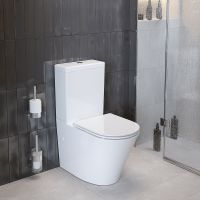 Товар: Унитаз компакт Ambassador Ritz 237K19001RS с бачком и сиденьем Микролифт - фото 10 Унитаз компакт Ambassador Ritz 237K19001RS с бачком и сиденьем Микролифт — фото 10, Унитазы