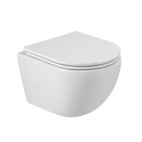 Унитаз подвесной безободковый с сиденьем CEZARES RELAX CZR-38088-49-TH-TOR/SC — фото 1, Подвесные унитазы