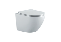 Унитаз подвесной безободковый AQUATEK ЕВРОПА AQ1901-MW 525*360*320 мм, белый матовый, горизонтальный — фото 1, Унитазы