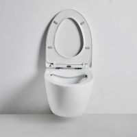 Унитаз Bond F05-10 подвесной Белый с сиденьем Микролифт — фото 9, Подвесные унитазы