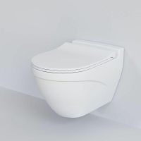 Унитаз Ambassador Nord 133T20101 подвесной Белый матовый без сиденья — фото 13, Подвесные унитазы