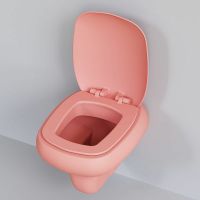 Товар: Унитаз Ambassador Diamond 123T20901R-122T20901 подвесной Розовый матовый с сиденьем Микролифт - фото 5 Унитаз Ambassador Diamond 123T20901R-122T20901 подвесной Розовый матовый с сиденьем Микролифт — фото 5, Подвесные унитазы