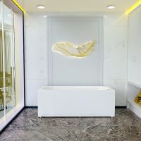 Акриловая ванна Radomir Виктория лайт 170x70 2-01-0-0-1-260Р без гидромассажа — фото 5, Ванны