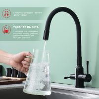 Смеситель для кухни Raglo R81.64.06 Черный матовый — фото 8, Смесители для кухни