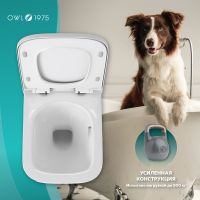 Унитаз Owl 1975 VatterRuta-H mini TOWLT190403S подвесной с сиденьем Микролифт — фото 3, Подвесные унитазы