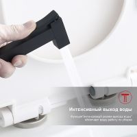 Гигиенический душ со смесителем Raglo R01.53.06 Черный матовый — фото 2, Гигиенические души