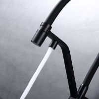 Смеситель для кухни Raglo R85.62.06 Черный матовый — фото 2, Смесители для кухни