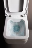 Товар: Унитаз Laufen Pro S Rimless 8.2096.2 подвесной без сиденья - фото 2 Унитаз Laufen Pro S Rimless 8.2096.2 подвесной без сиденья — фото 2, Подвесные унитазы