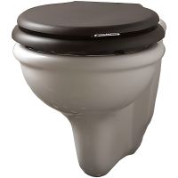 Унитаз Devon&Devon Etoile IBWCSET подвесной без сиденья — фото 1, Унитазы