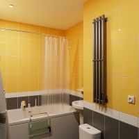 Товар: Электрический полотенцесушитель Altasan АргоПроф 120х21 АргоПроф12021Г Графит - фото 5 Электрический полотенцесушитель Altasan АргоПроф 120х21 АргоПроф12021Г Графит — фото 5, Электрические полотенцесушители