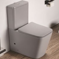 Унитаз компакт CeramaLux 2170AXMH Светло-серый матовый с бачком и сиденьем Микролифт — фото 1, Напольные унитазы